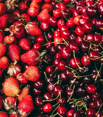food-img