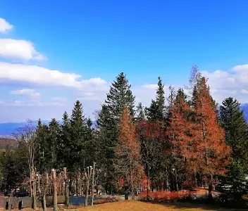 Lerderderg State Park